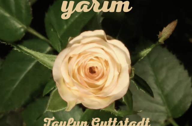 "Yârim" - Tayfun Guttstadt