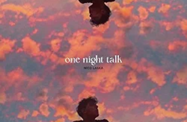 Nico Laska - "one night talk"